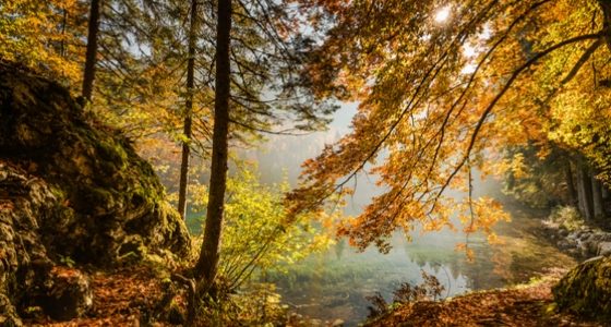 Finding the Beauty of Change and Leaving The Familiar